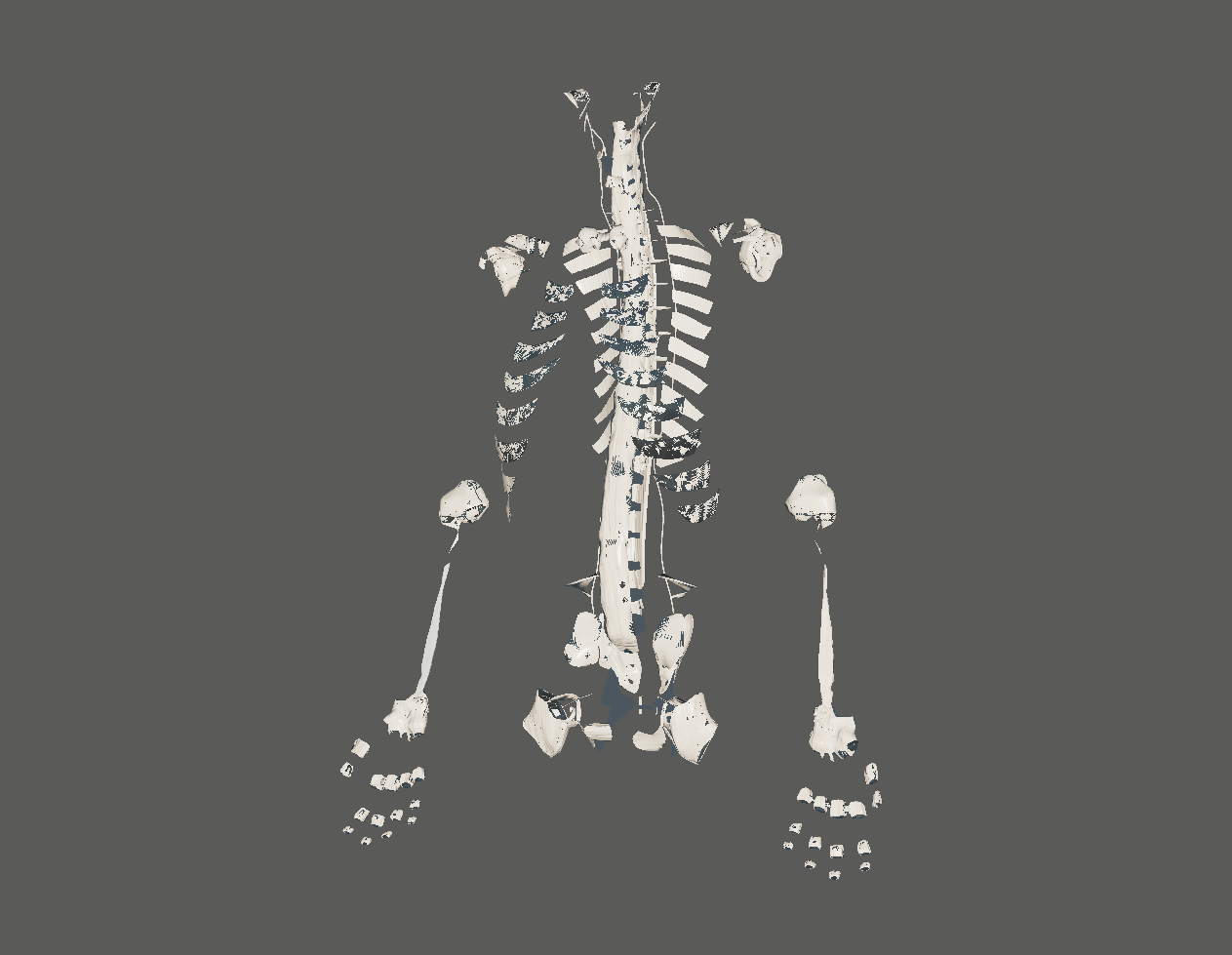 ../../_images/vapps_ligaments.png