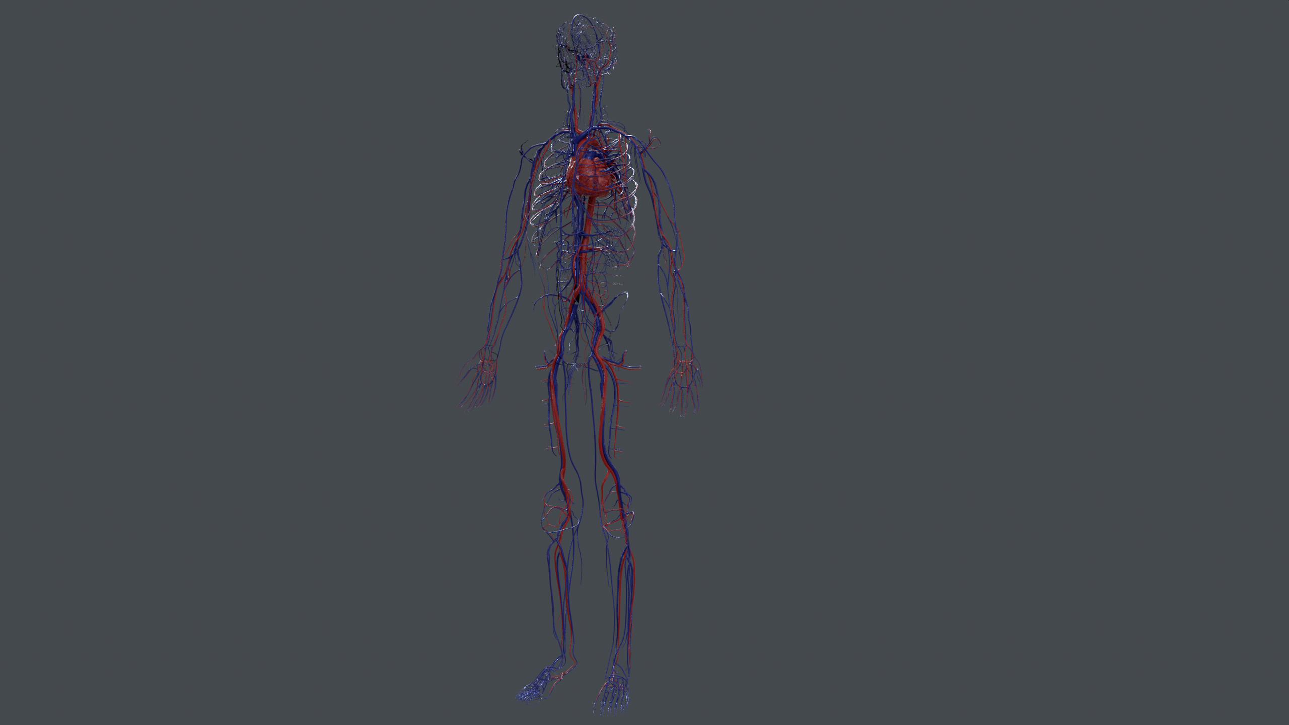 ../../_images/vapps_cardiovascular.png