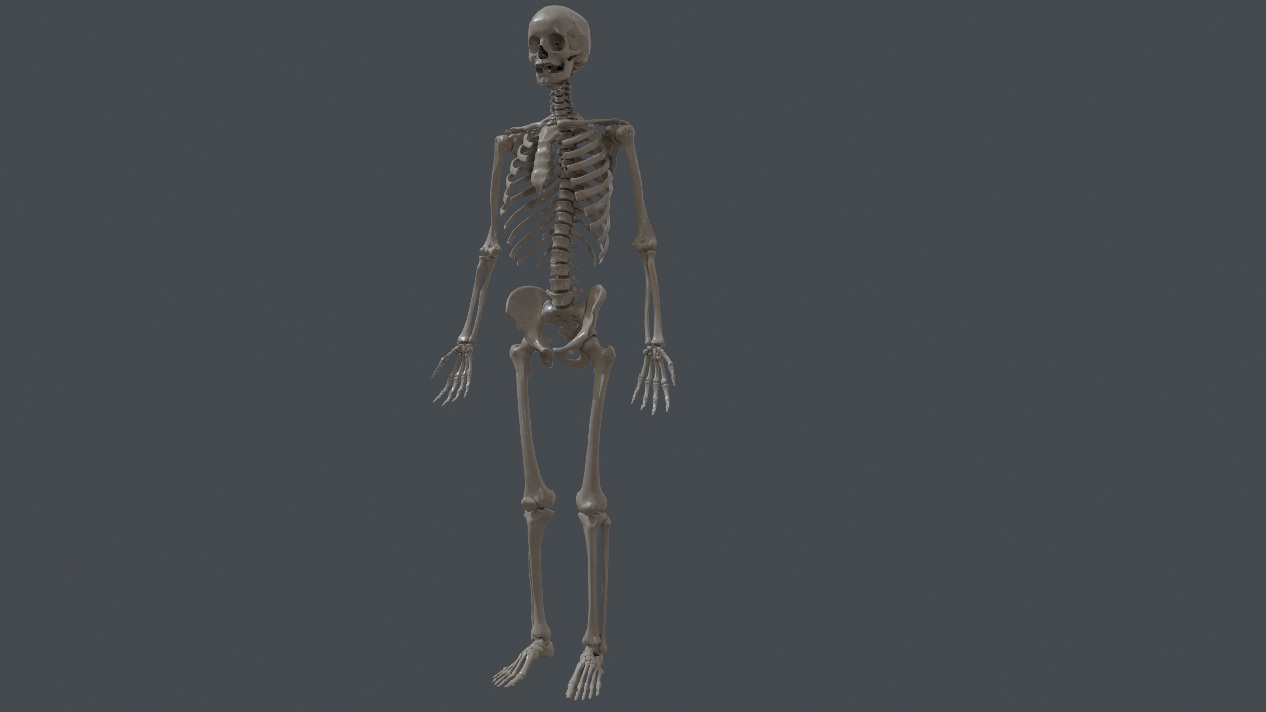 ../../_images/vapps_skeletal.png